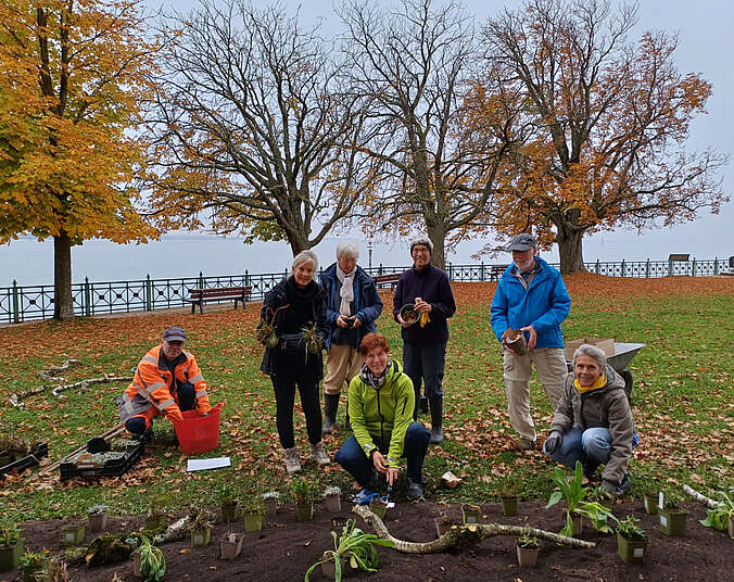 Sieben Menschen beim Pflanzen. (Foto: Stadt Friedrichshafen)