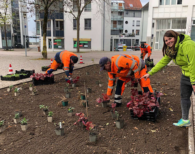 Städtische Mitarbeitende arbeiten im Blumenbeet. (Foto: Stadt Friedrichshafen)