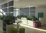 Die neuen Büroräume sind hell und modern gestaltet. In den Mehrpersonenbüros wurde insbesondere großen Wert auf eine gute Akustik gelegt.